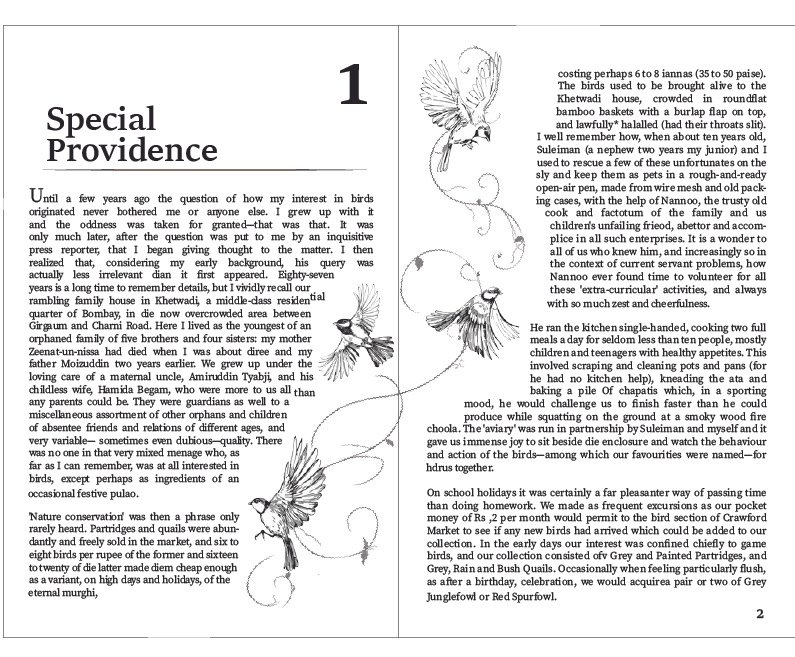 Book Chapter Final.jpg